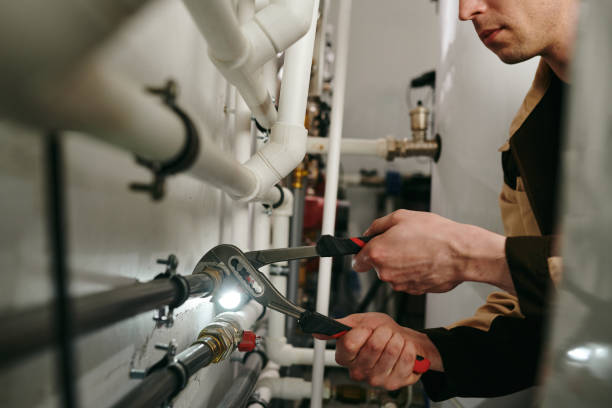 Best Sewer Line Replacement  in Davis Junction, IL