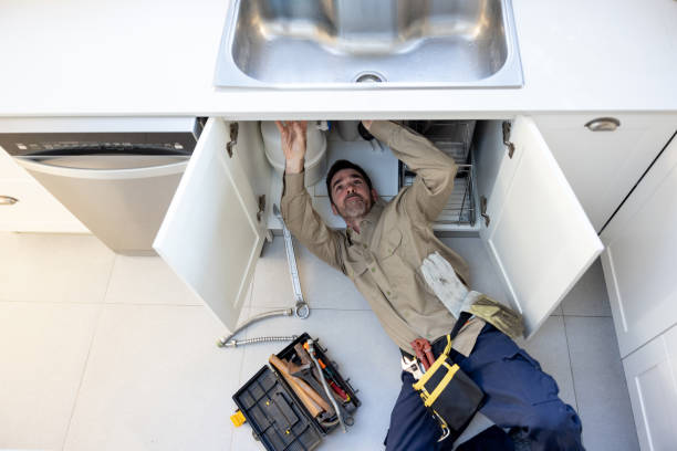 Best Gas Line Repair  in Davis Junction, IL