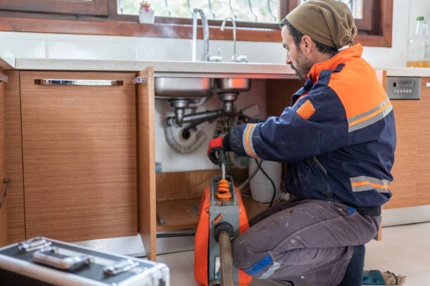 Best Affordable Plumber Near Me  in Davis Junction, IL