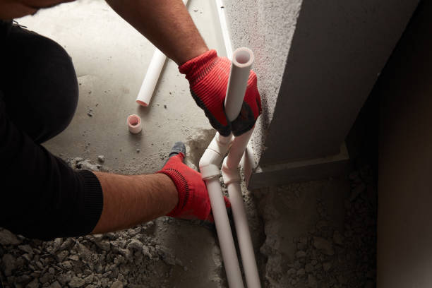 Best Water Leak Repair  in Davis Junction, IL