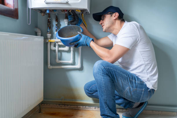 Best Plumbing Services Near Me  in Davis Junction, IL