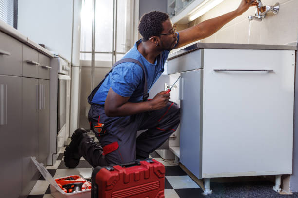 Best Plumbing Inspection Services  in Davis Junction, IL