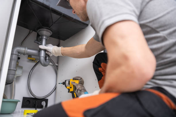 Best Plumbing Repair Near Me  in Davis Junction, IL