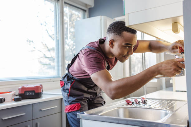 Best Plumbing Inspection Services  in Davis Junction, IL