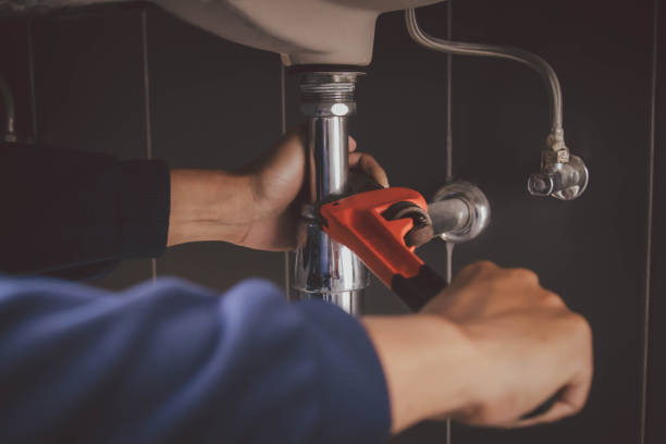 Best Clogged Drain Plumber  in Davis Junction, IL