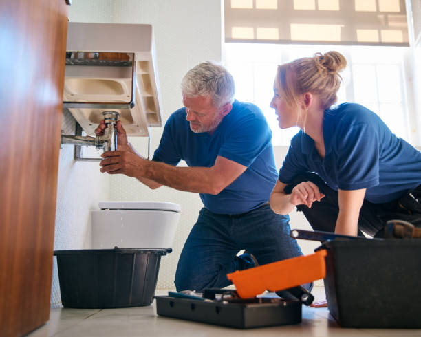 Best Local Plumber Services  in Davis Junction, IL